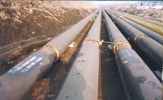 【華管道保溫那專業】-